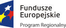 FEU program regionalny